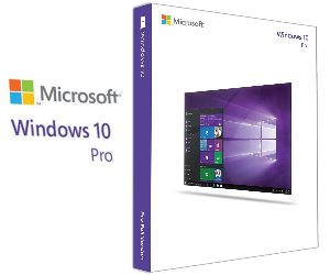 Microsoft Windows 10 Pro | USB Flash Drive